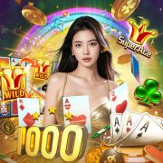 br2024bet com