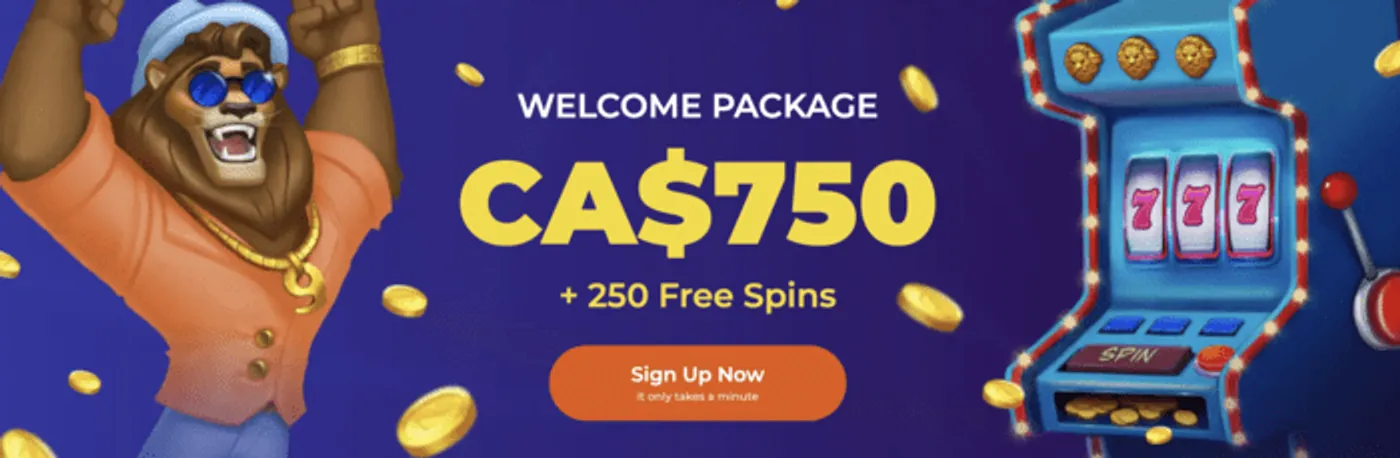 bravebet