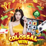 336bet
